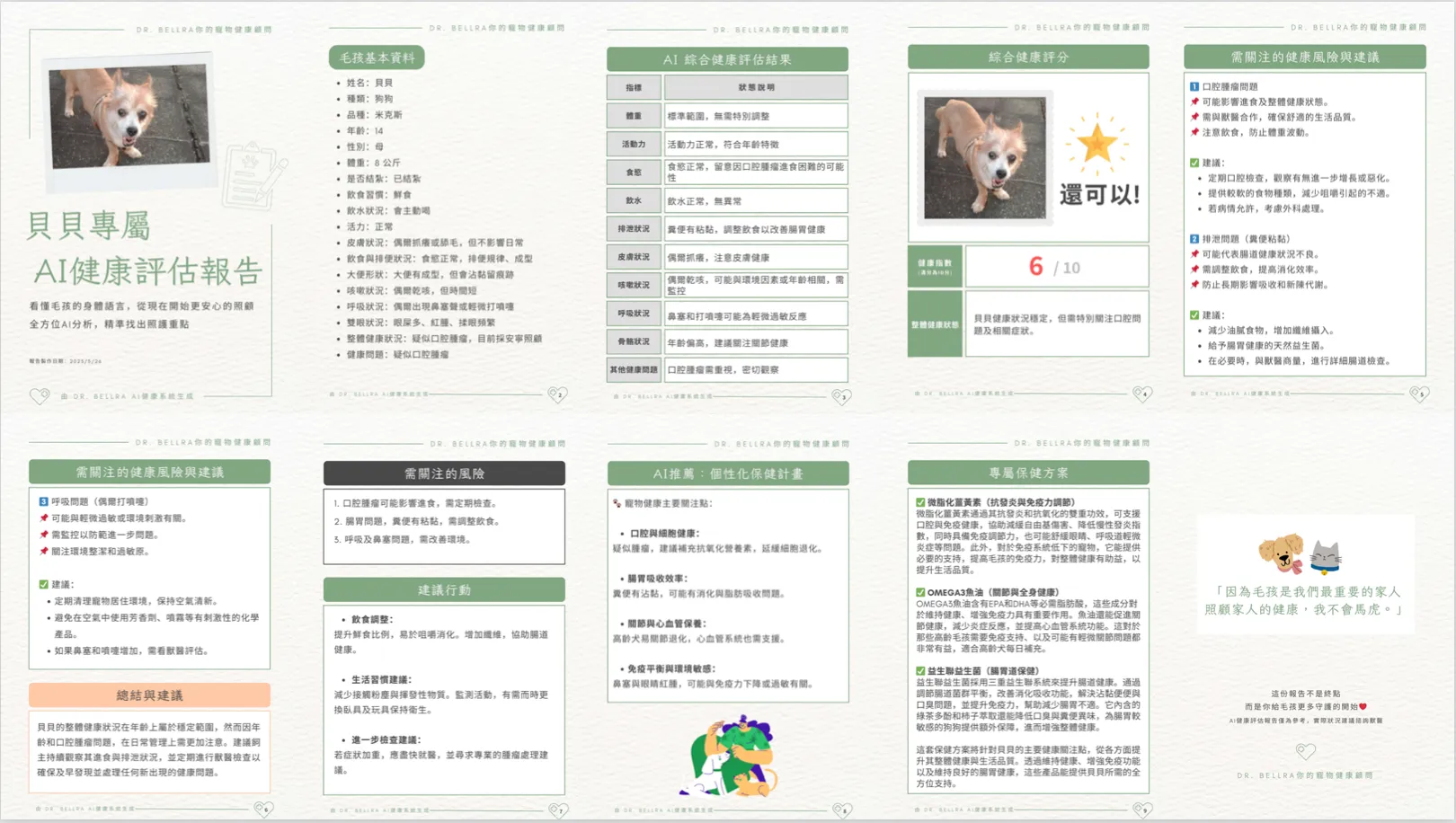 AI 產出的寵物健檢報告排版，含基本資料、健康評估結果與保健建議